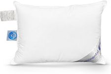 Continental Bedding Child Pillow - Soft Pillow for Sleeping, Plush Kids Pillow, Machine Washable - Pillow (13x18 Inch)