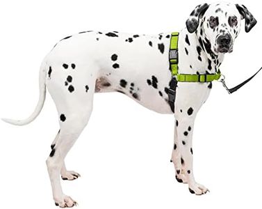 PetSafe® D