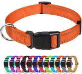 TagMe Reflective Nylon Dog Collars, Adjustable Classic Dog Collar with Quick Release Buckle for Small Dogs, Orange, 1.5 cm Width