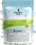 Organic Whey Protein Powder (600g) - Grass Fed Unflavoured Organic Protein Powder by TheHealthyTree Company - Low Carb Natural Protein for Muscle Growth & Recovery