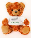 Penned Teddy Bear with Get Well Soon T-Shirt - Plush 10" Brown Stuffed Bear with Rhyming Feel-Better Poem for Children and Adults in The Hospital, Post-Surgery, or Feeling Sick