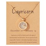 Zodiac Necklace for Teen Girls Astrology Horoscope Necklace for Women 12 Constellation Coin Embossed Necklace Best Gifts for Girlfriend (Capricornus)