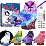 Paint Your Own Owl Lamp Kit, Art Supplies Arts & Crafts Kit, Painting kit for Kids 6-12, Arts and Crafts for Kids Ages 8-12, Toys Girls Boy Birthday Gift Ages 6 7 8 9 10 11 12+