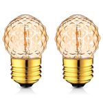 Hcnew E26 Edison Bulbs G40 Mini Globe Night Light LED Bulb 1W Equivalent to 10 Watt 2200K Warm White Decorative Light Bulbs Christmas Light Strings Non Dimmable Pineapple Shaped Amber Glass,Pack of 2