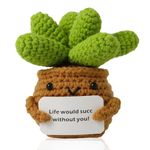 Crochet Potted Plants, Creative Knitted Potted Plants Mini Cute Emotional Positive Succulents Positive Life Potato Doll Ornaments Gifts for Adults Kids Friends Home Office Desk Decoration