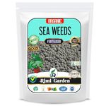 Rimi Garden® Sea weeds Essential Organic Fertilizer for Plant Growth with ++ Charged Growth Microbes. (400 gm)