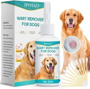 IPOTAO Dog