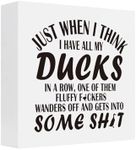 7 x 7 inches Funny Office Wood Box Sign My Ducks in a Row Humorous Wood Block Plaque Box Sign for Home Living Room Shelf Table Decoration, Cute Office Tabletop Decor