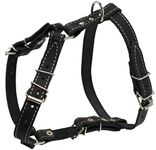 Real Leather Dog Walking Harness Medium Black, 21" - 26" Chest