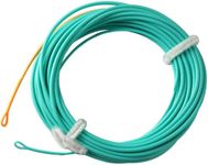 Aventik Skagit PlusShooting Head Floating Fly Line with Welded Loop (20ft,400grain)