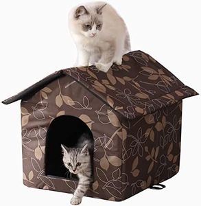 Cat House 