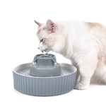 Ceramic Pet Drinking Fountain