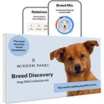 Wisdom Panel Dna Test