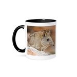 3dRose 3dRose Cape Elephant Shrew, Bushmans Kloof, South Africa-AF42 RBE0003 - Ralph H. Bendjebar - Two Tone Black Mug, 11oz (Mug_76285_4), Black/White