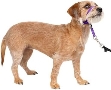 PetSafe Gentle Leader No-Pull Dog Headcollar - The Ultimate Solution to Pulling - Redirects Your Dog's Pulling for Easier Walks - Helps You Regain Control - Small, Deep Purple