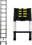 Traderight 3.2m Telescopic Ladder R