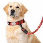 Zigly Lifestyle Classic Padded Dog Collar & Reflective Leash Set-M - Red | Adjustable Collar Leash Combo for Medium Dogs | Safe, Durable Walking Gear