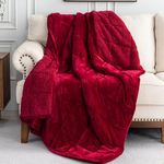 BUZIO Sherpa Fleece Weighted Blanket for Adult, 15 lbs Heavy Ultra Cozy Bed Blanket with Soft Plush Flannel, 60 x 80 inches, Full Red