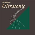 Field Works: Ultrasonic (2Lp)