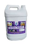 HERBAL PHENYL 5 LITRES (LAVENDER)