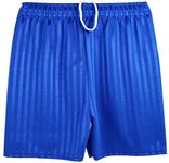 Kentex Online Boys Girls Unisex Shadow Stripe Gym Sports Football Games School PE Shorts (Medium (5-6 Years), Royal Blue)