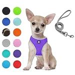 Puppy Harness and Leash Set - Dog V