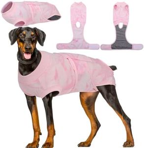 Kuoser Dog