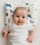 Stork Drop - Flat Head Baby Pillow | Prevents & Corrects Plagiocephaly | Breathable 3D Air Mesh | Soft Organic Cotton | Completely Washable | Newborn Head Shaping | Safari Animals