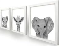 Set of 3 Pencil Drawing Baby Safari