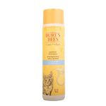 Burt's Bees for Cats Tearless Kitten Shampoo with Buttermilk, 10 Ozs