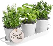 Barnyard Designs Indoor Herb Garden Planter Set with Tray, Metal Windowsill Plant Pots with Drainage for Outdoor or Indoor Plants, Set/3 (Embossed)