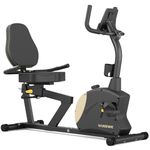 VANSWE Recumbent Exercise Bike for Adults Seniors Home Workout and Physical Therapy with 400 LBS Weight Capacity RB912