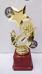 Trophy Golden Fiber Cricket Man of The Series Cup