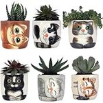 Window Garden Cute Cat Planter Pot - 6 Mini 3" Succulent Kitty Pots - Cute Flower Pots for Indoor Plants - Cat Decor Vase for Cactus, Herb - Cat, Cat Owner Gifts, Unique Gifts, Gift Set