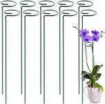 ecofynd 16 inches Metal Plant Stakes, Pack of 10 | Single Stem Flower Plant Support | Garden Plant Trellis for Amaryllis Orchid Lily Rose Tomatoes