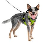 PetSafe EasySport Dog Harness, Adjustable Padded Dog Harness with Control Handle and Reflective Piping, From the Makers of the Easy Walk Harness