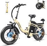 2000W Dual Motor Electric Bike Summ
