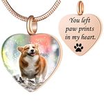 Farfume Personalised Heart Cremation Jewelry Urn Necklace for Cremation Memorial Souvenir Pendant Necklace to Preserve Good Memories of Loved Ones and Pets (Rose Golden Heart Ashes Necklace)