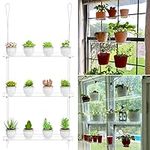 Clear Hanging Window Plant Shelves,