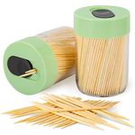 Urbanstrive Sturdy Safe Toothpick Holder with 400 Natural Wood Toothpicks for Teeth Cleaning, Unique Home Design Decoration, Unusual Gift, 2 Pack (Green)