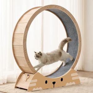 RRPETHOME 48" Cat Wheels for Indoor Cats, Quiet & Stable Cat Exercise Running Wheel, Cats Treadmill with Anti-Slip Mat