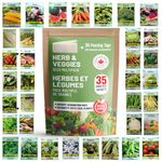 THUNDERBAY-GBSE Vegetable & Herb Seed Variety Pack of 35 Heirloom Sachets Approx. 6000 Seeds(100% Non GMO,35 Individually Packed Sachets, 35 Planting Tags) 35 sachets d'herbes et de légumes