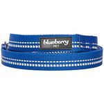 Blueberry Pet 3M Reflective Pastel Color Dog Leash with Soft & Comfortable Handle, 5 ft x 3/4", Navy, Medium, Leashes for Dogs