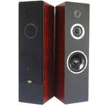 Divine Audio T3W Floor Standing Speaker
