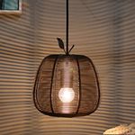 Homesake® Antique Black Metal Pendant Light, E27 Wire mesh Ceiling lamp (Apple)