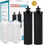 Water Filter System Replacement for Berkey Water Filter, Gravity Water Filter Replacement, 2 Black Activated Carbon Filters and 2 Fluoride Filters, Compatible with Purifiers, Pack of 4