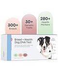 Basepaws Dog DNA Test: Comprehensiv