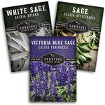 Survival Garden Seeds Sage Collection Seed Vault - White Sage (Salvia Apiana), Culinary Sage (Salvia Officinalis) & Victoria Blue Sage - (Salvia Farinacea) Non-GMO Heirloom Varieties for Your Garden