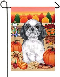 Shih Tzu -