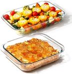 NUTRIUPS Glass Lasagne Dish Set of 